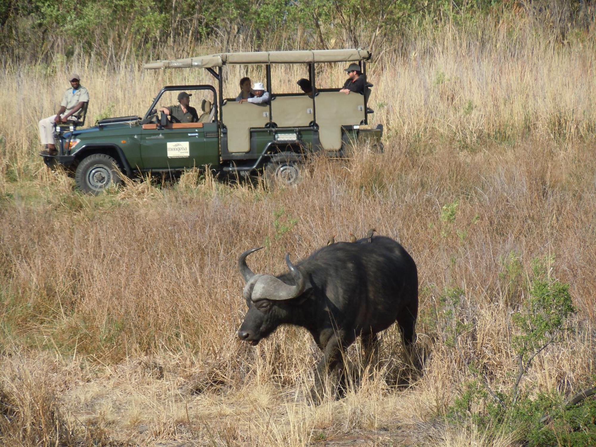 Little Mongena Tented Camp Klipdrift Экстерьер фото